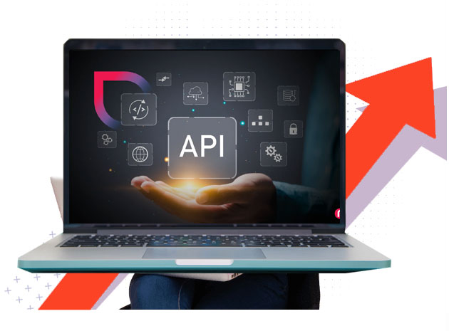 API Integration Service in Delhi NCR India