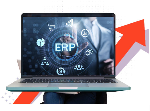 Custom ERP Software Development Services