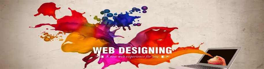 Web Designing Institute Delhi