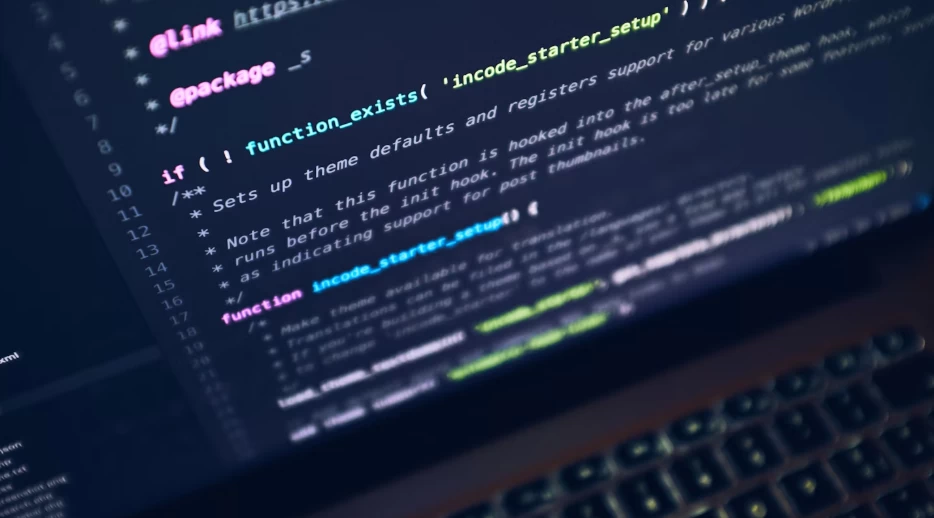 Types of Web Developers
