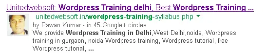 Wordpress Training in delhi